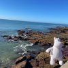 img-20251023-wa0019