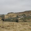 img_20251020_122046