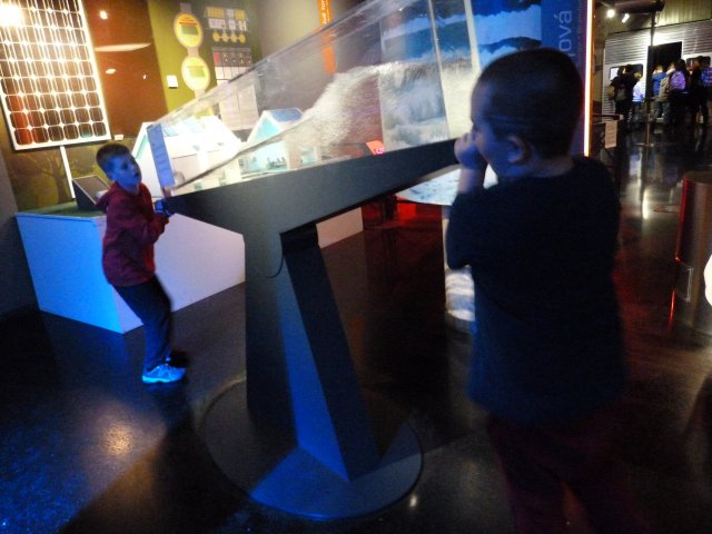 p1100488