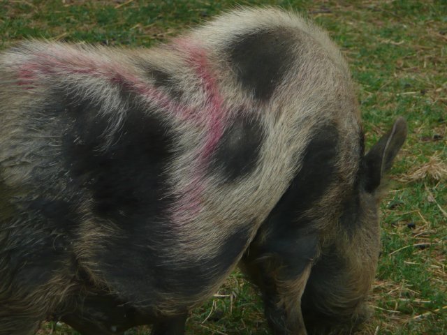 p1020200