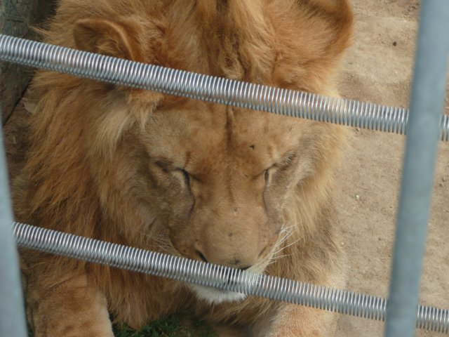 p1020209