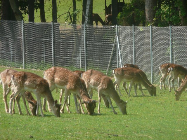 p1020236