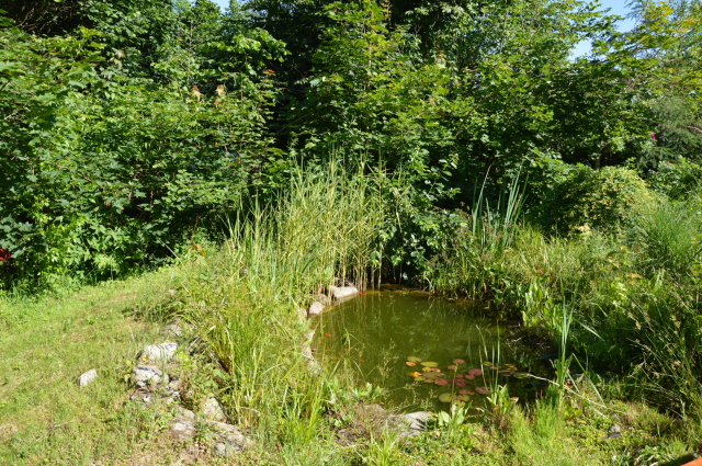 obrzek88