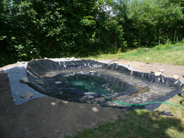 obrzek25