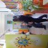 dscn0546